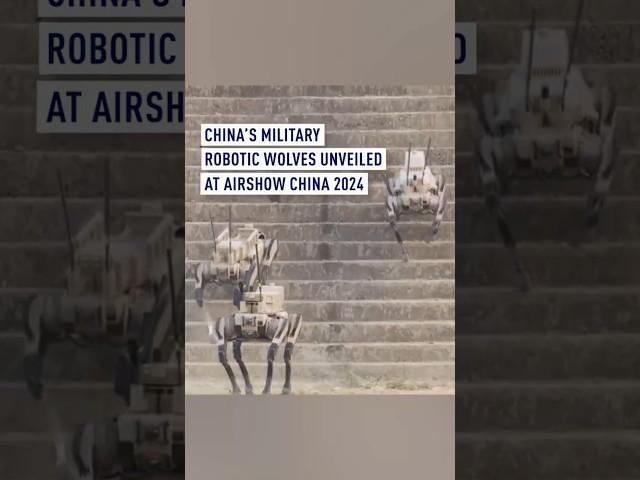 China's military robotic wolves unveiled at Airshow China 2024