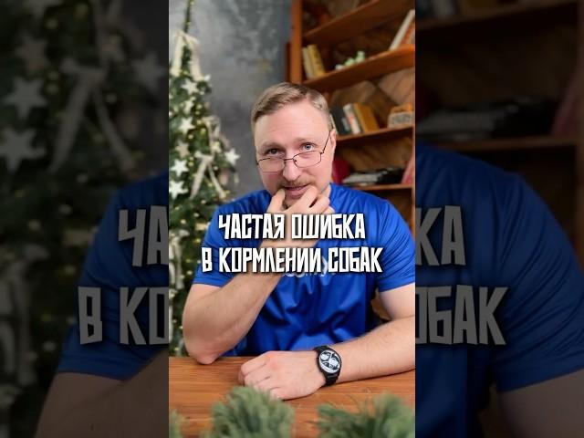 Частая ошибка в кормлении собак