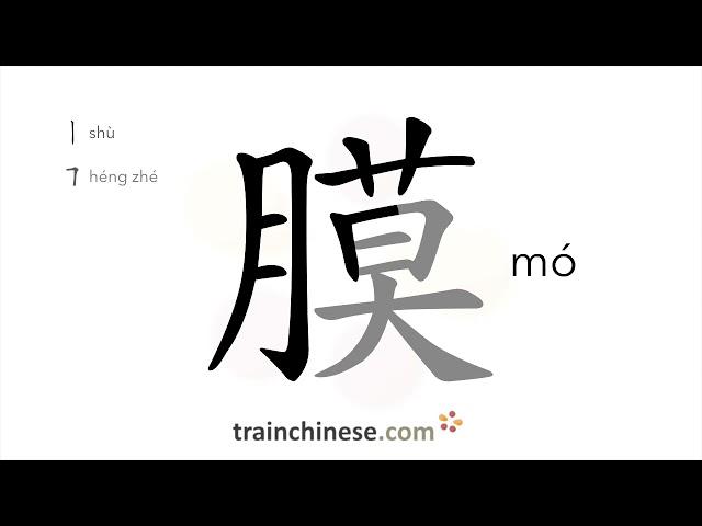 How to write 膜 (mó) – membrane; film – stroke order, radical, examples and spoken audio