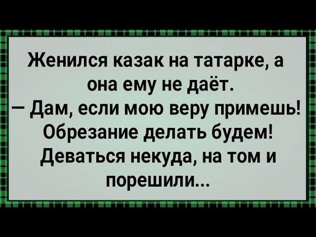 Как Казак На Татарке Женился! Сборник Свежих Анекдотов! Юмор! Позитив!