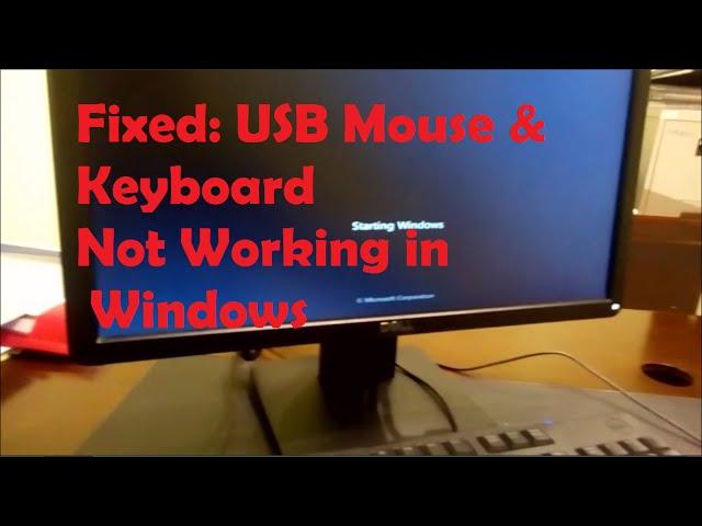 Fixed USB Mouse & Keyboard not working