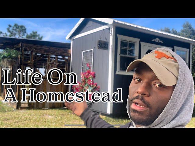 Live The Life You Love || Life On A Homestead