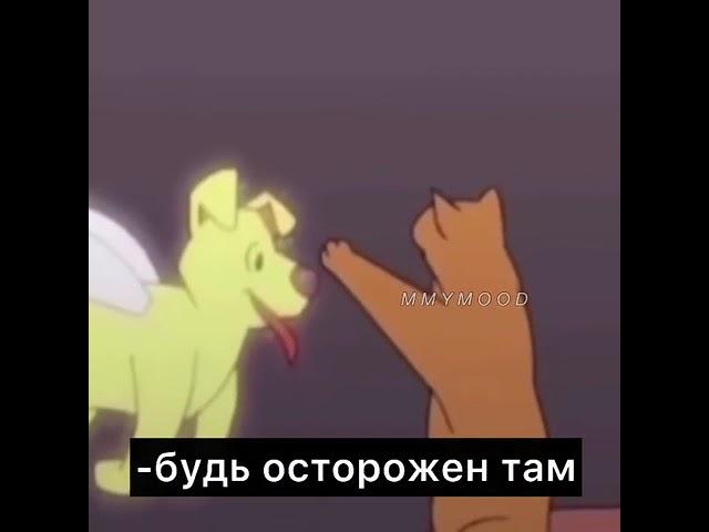 Я не хочу щтоб люди ,жывотные умерали