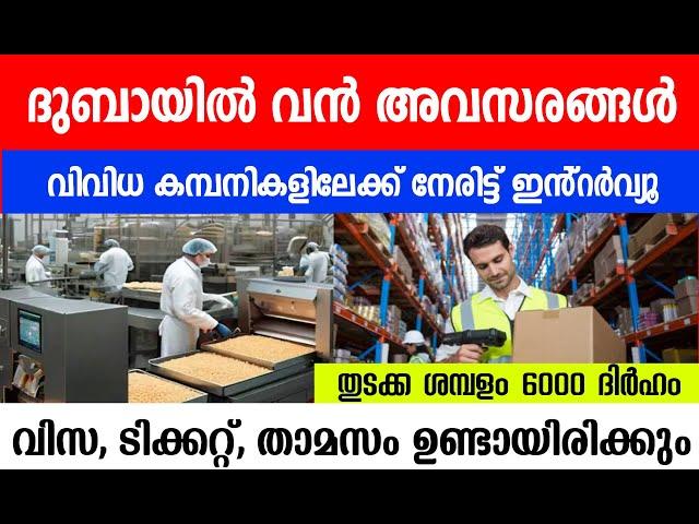 How to get jobs in Dubai from india / Dubai jobs today| Dubai Jobs 2025\ Dubai job vacancy Malayalam