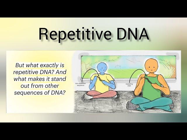 DNA repeats || Tandem Repeats || SRTs|| VNTR || Direct repeats || mirror repeats || palindrome
