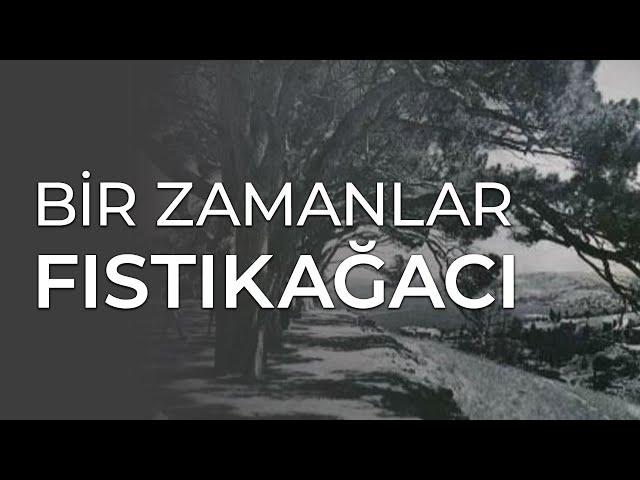 Bir Zamanlar Fıstıkağacı