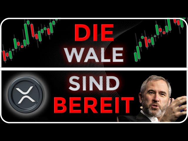 RIPPLE XRP NEWS - Die Letzte Phase Des Bullruns Beginnt!