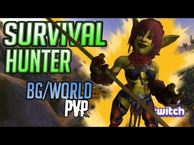 I Feel Naked! A World PVPer Does Battlegrounds  |  Survival Hunter | WoW Dragonflight World PVP