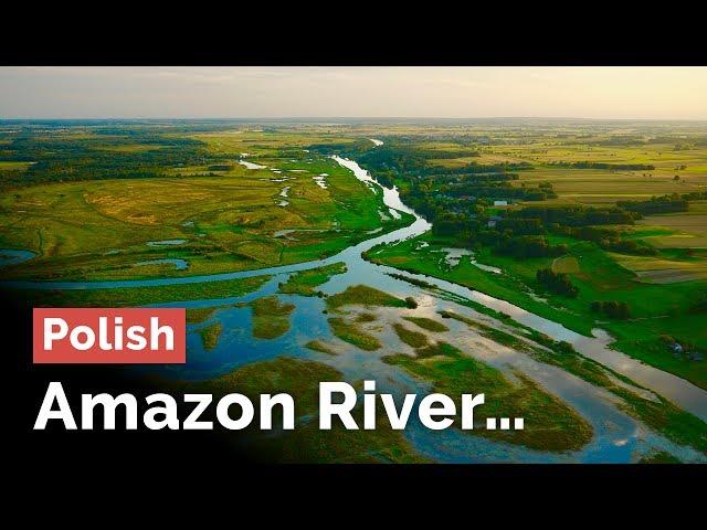 Polish Amazon River... The Narew Valley