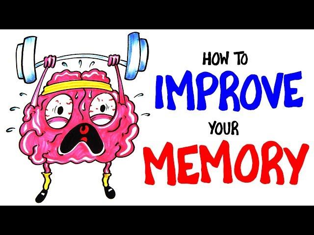 How To Improve Your Memory RIGHT NOW!