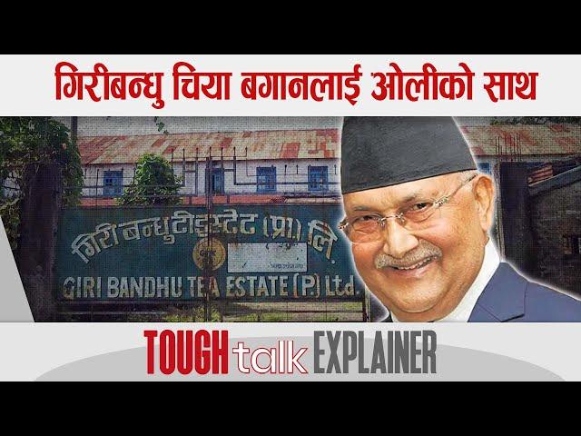 गिरीबन्धु चिया बगानलाई ओलीको साथ || TOUGH talk Explainer ||