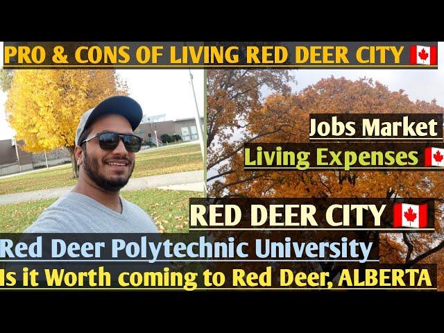 RED DEER CITY, ALBERTAPRO & CONS OF LIVING IN RED DEER CITYINTERNATIONAL STUDENTS MUST WATCH