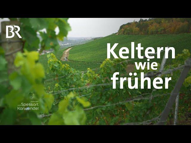 Wein aus Tradition: Frankenwein aus der Dockenkelter | Zwischen Spessart und Karwendel | BR