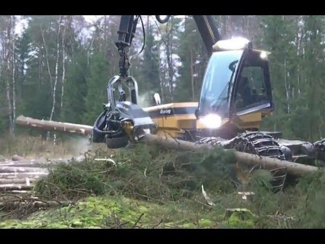 Cesoia forestale per disboscamento rapido - Mondo verde