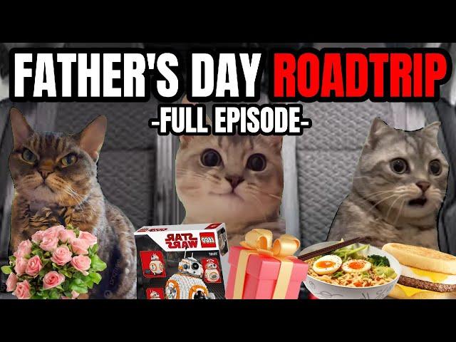 CAT MEMES: THE FATHER'S DAY ROADTRIP