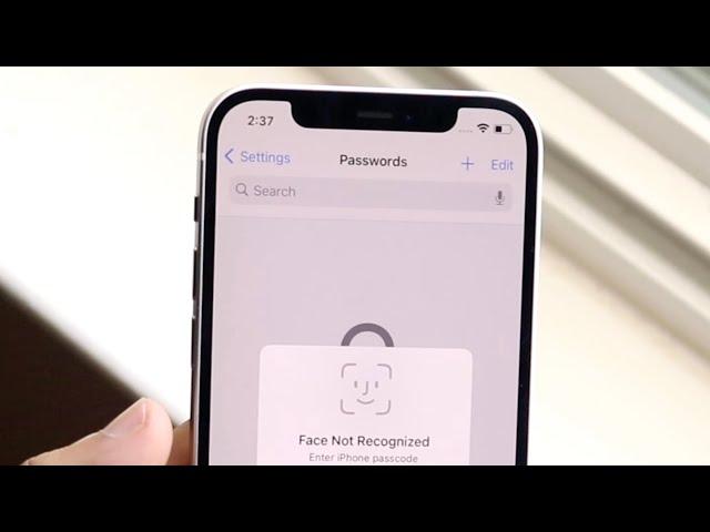 How To See Saved Passwords On iPhone