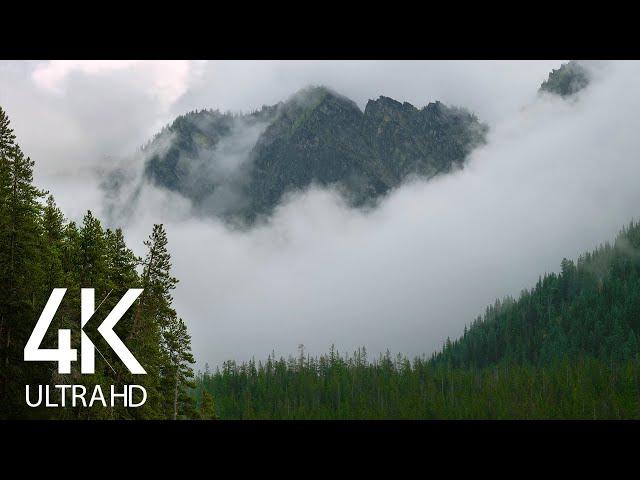 Fascinating Mountains in Fog - 8HRS of Soothing Sound of Wind and Bird's Chirping