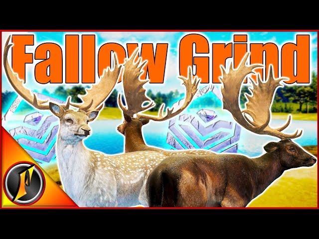 A New Look Fallow Multimount! | How I Grind for Fallow Deer