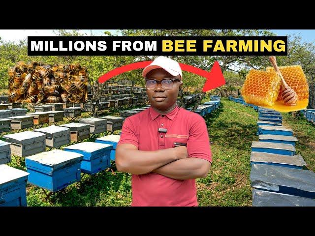 He is Turning His Backyard into a Bee  Farm in Nigeria 