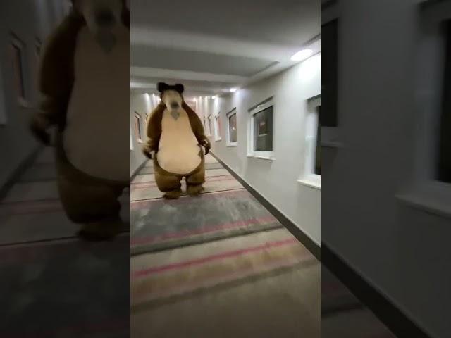 bear chases person down hall (original)