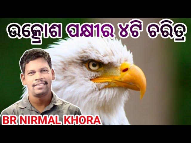 ଉକ୍ରୋଶ ପକ୍ଷୀର ୪ଟି ଚରିତ୍ର (4 characteristics of the eagle )//Message by Br Nirmal Khora//