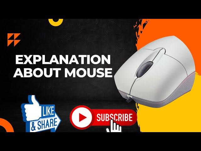 Explanation About Mouse | What is Mouse | Full Explanation of Mouse