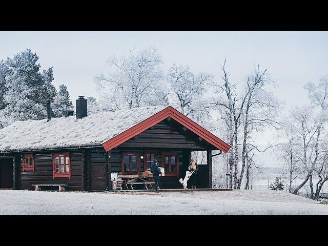 Settling into the new Cabin | #32 Life in Norway