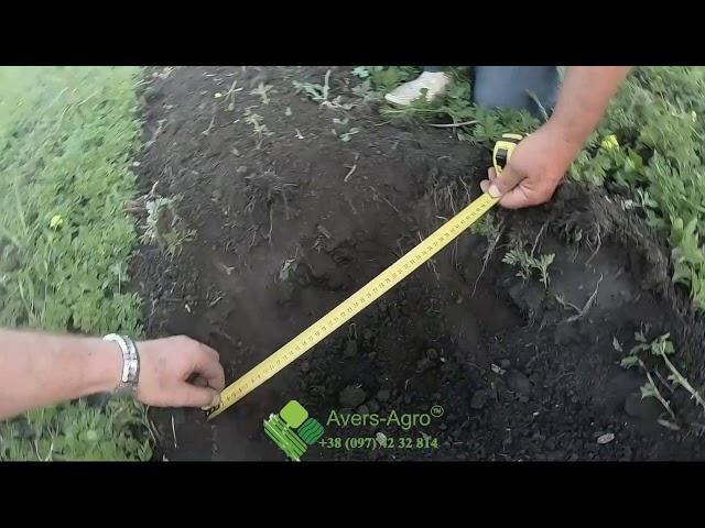 Стрип тил (Strip-till) испытание секции Green Master