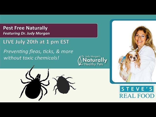 Pest Free Naturally - Featuring Dr. Judy Morgan