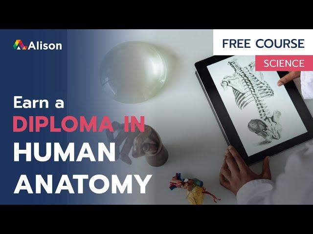 Diploma in Human Anatomy and Physiology - Free Online Course with Certificate