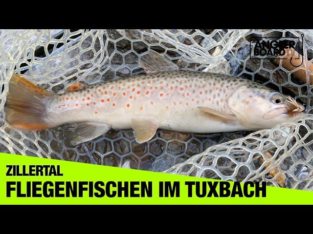 Fliegenfischen im Zillertal | Angeln in Österreich | Bachforellen im Tuxbach | ABENTEUER FISCHWASSER