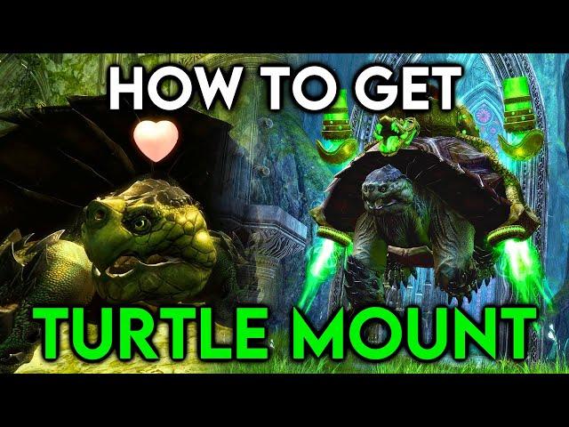 How to get your Turtle Mount in End of Dragons - Guide (Guild Wars 2)