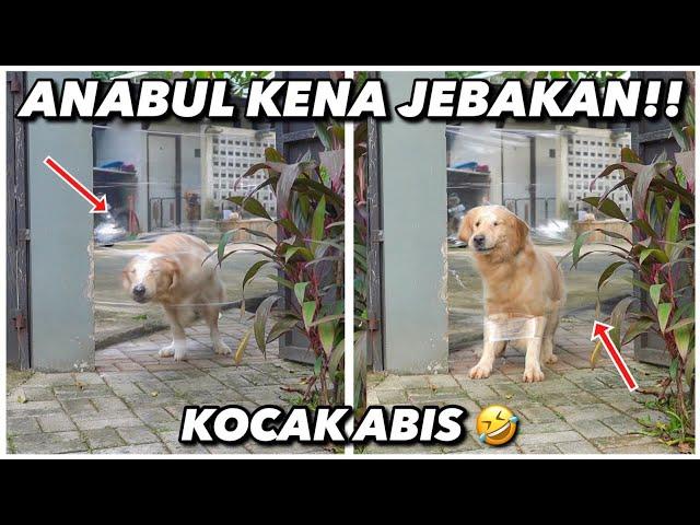 PRANK ANABUL! KASIAN TAPI LUCUU 