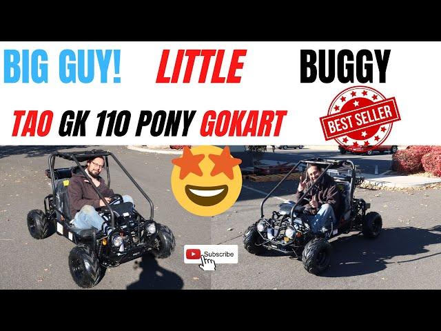 BEST VALUE KIDS GOKART TAO GK110 PONY EASY TO DRIVE AFFORDABLE AND FUN