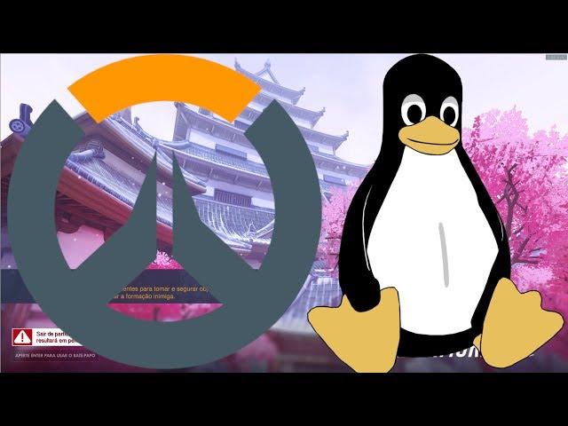 OVERWATCH NO LINUX