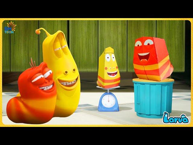 Larva Lemon || TRAP OF YELLOW AND RED  60min | Cartoon video for kids by SMToon Asia