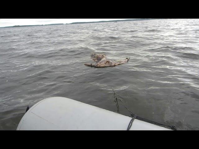 Водяной якорь парашют для торможения лодки