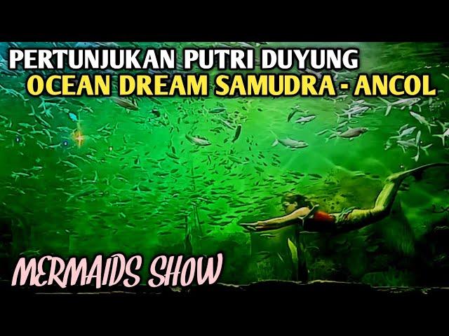 Pertunjukan Putri Duyung di Ocean Dream Samudra Ancol || Mermaids Show