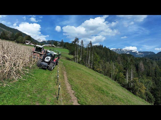 Maize harvest on the brink | Claas Jaguar, Steyr Absolut, Valtra T235, Krone GX 440 & Fliegl, Göweil