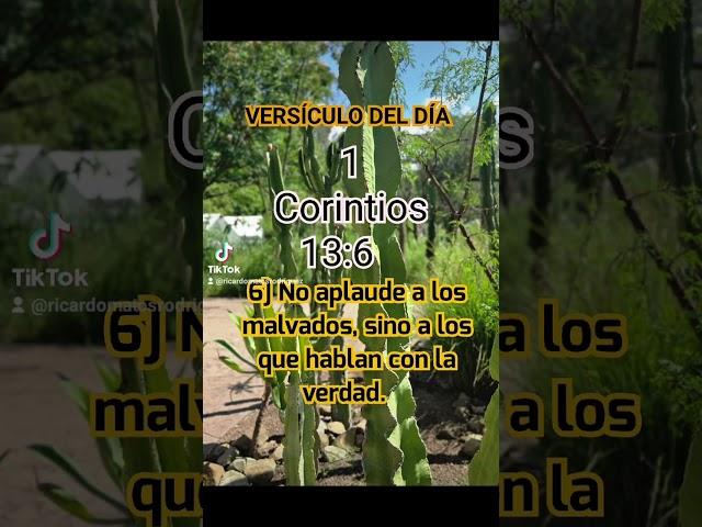 #VersículoDelDía - 13 de Julio 20241 Corintios 13:6 TLA