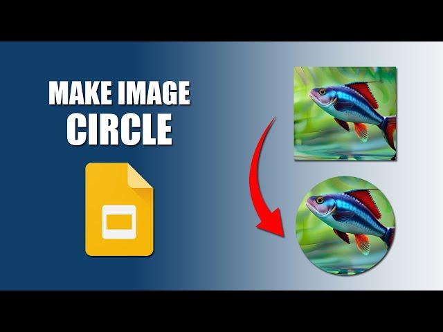 How to make an image a circle in google slides presentation