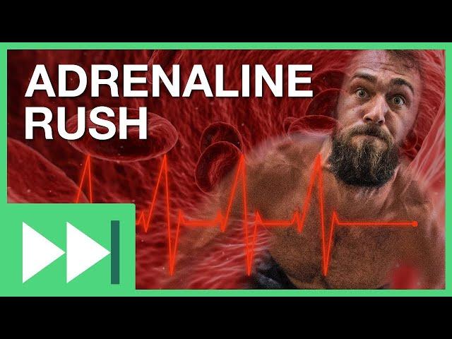 What Causes an Adrenaline Rush? | Fast Forward Teachable Moment