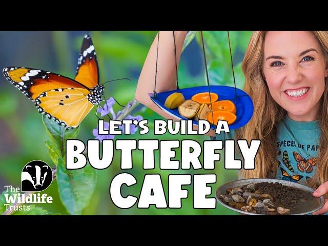 LIVE Butterfly Builds with Maddie Moate and The Wildlife Trusts!