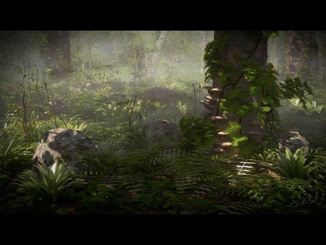 [HD] Forest in Cycles Breakdown