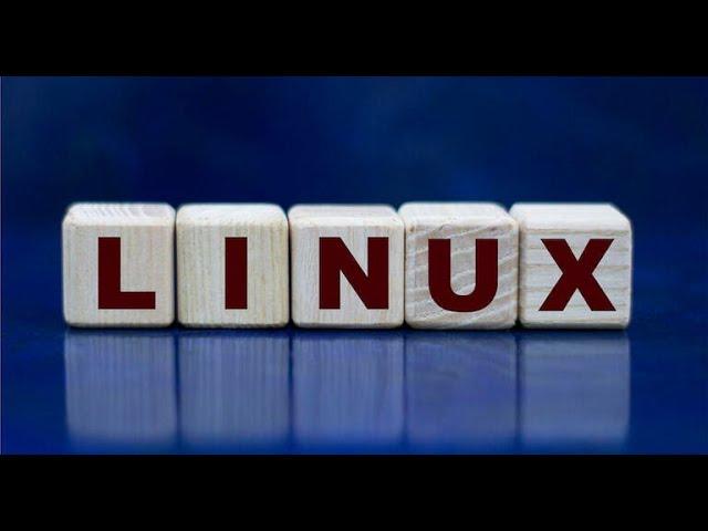 Linux 101: How to copy files and directories from the command line