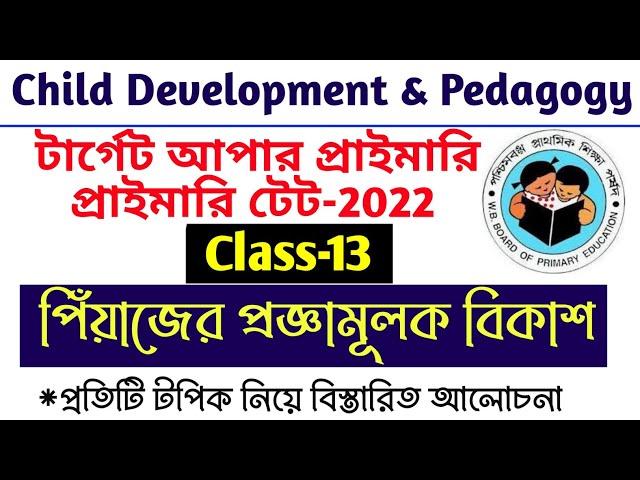 Piaget's Cognitive Development | Stages of Cognitive Development | For Primary Tet/Upper Primary Tet