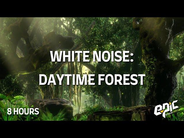 8-Hour Forest Daytime Sounds with Birds and Bugs | Relax, Study, Meditate