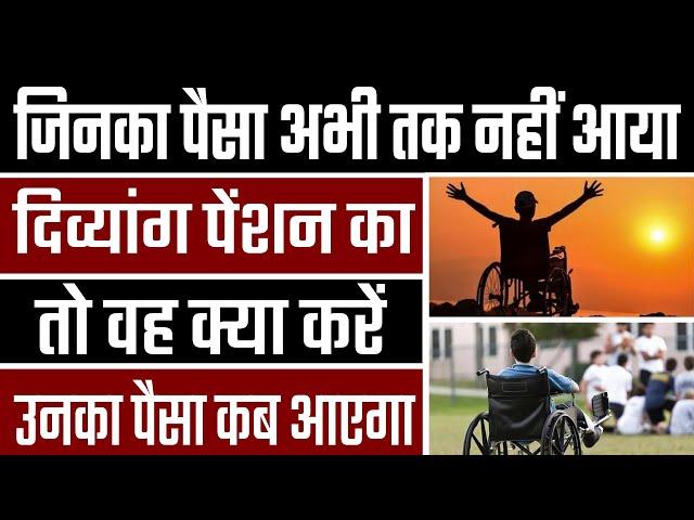 Divyang pension kab aaegi | जुलाई अगस्त सितंबर 2024 | divyang pension uttar pradesh #divyangpension