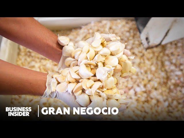 ¿Cómo El Mayor Productor De Ajo De EE. UU. Sobrevivió A La Caída Del Ajo Estadounidense?