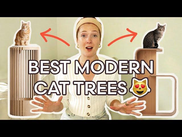 TOP 3 MODERN CAT TREES | Ultimate Guide